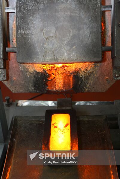 Plyus gold company