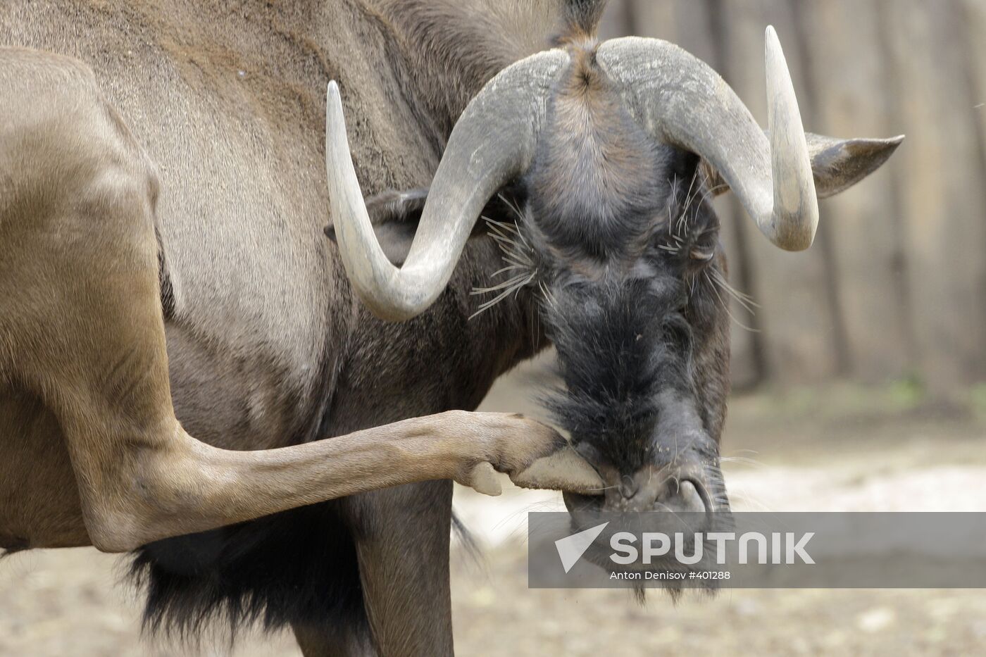 Moscow Zoo