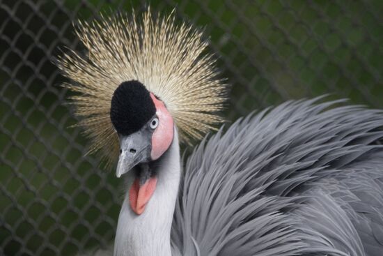 Moscow Zoo