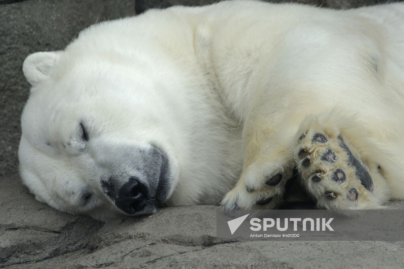 Moscow Zoo