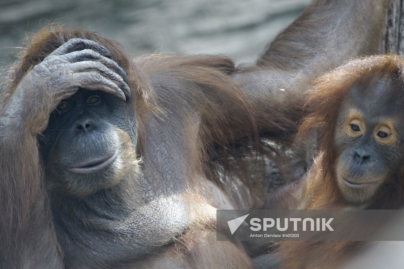 Moscow Zoo