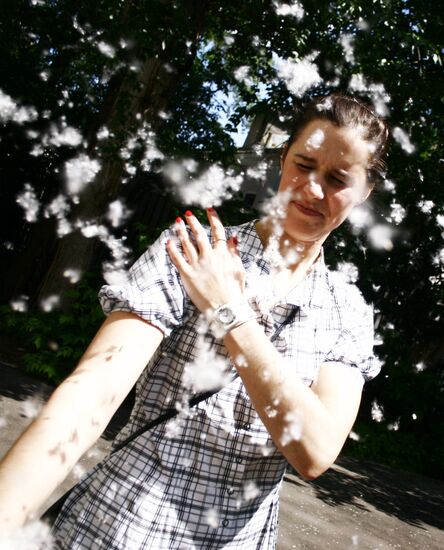 Poplar wool in Moscow