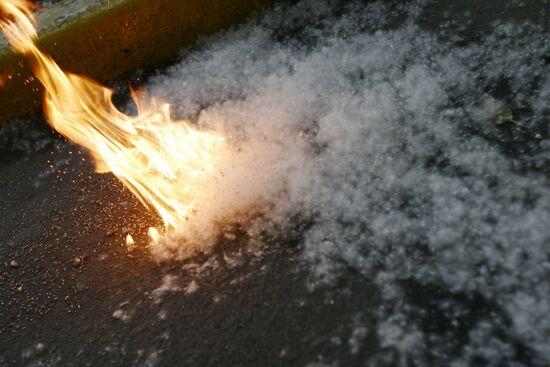 Poplar wool in Moscow