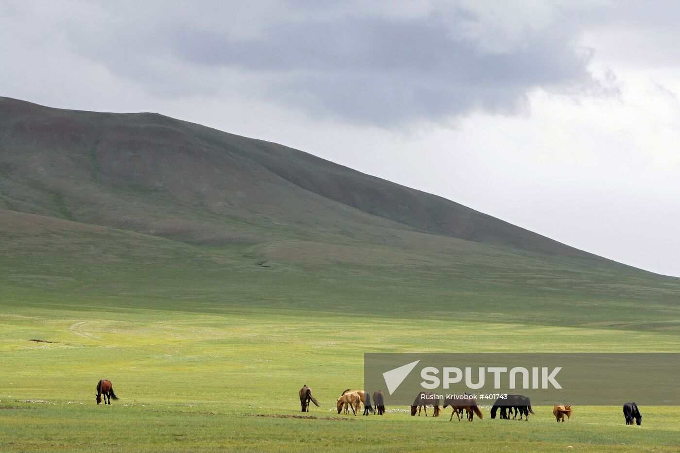 Mongolia