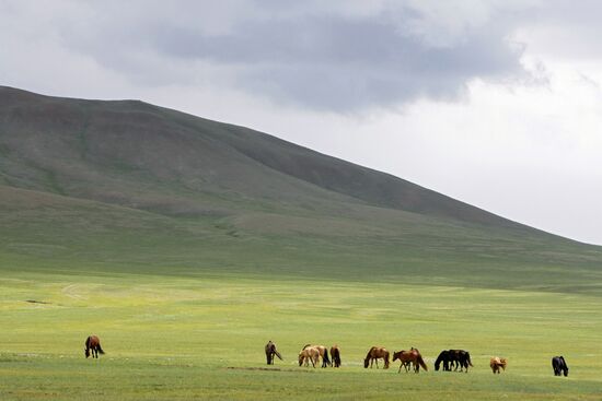 Mongolia