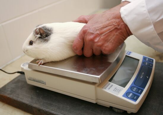 Center for Hygiene and Epidemiology in Yekaterinburg