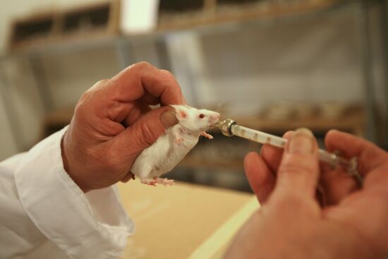 Center for Hygiene and Epidemiology in Yekaterinburg