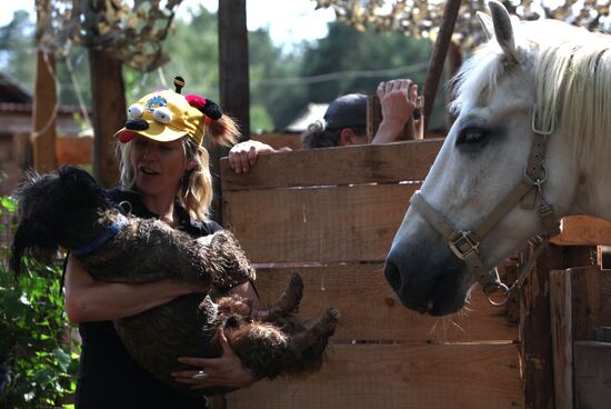 Bim animal protection fund in Moscow Region