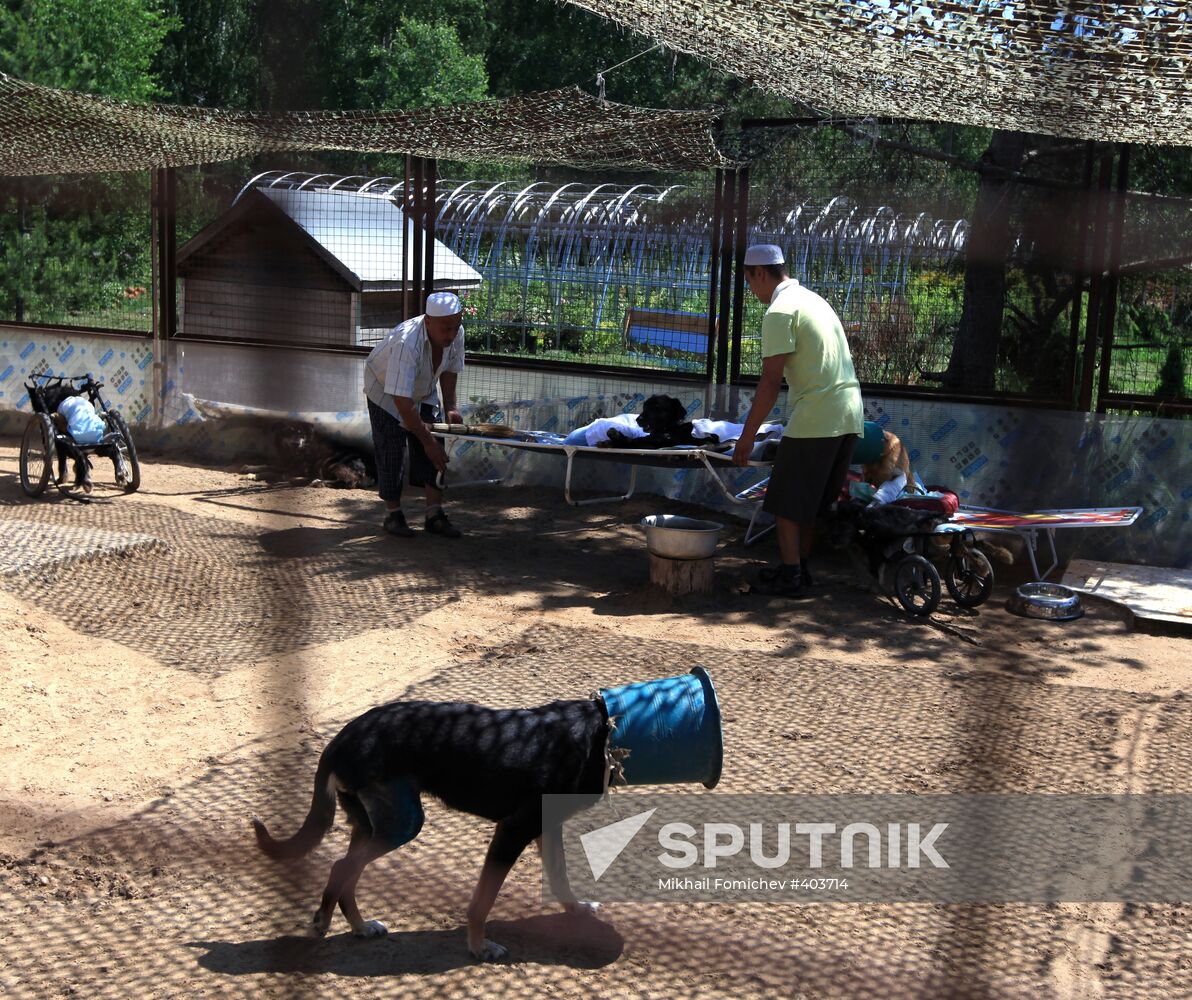 Bim animal protection fund in Moscow Region