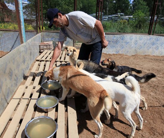 Bim animal protection fund in Moscow Region