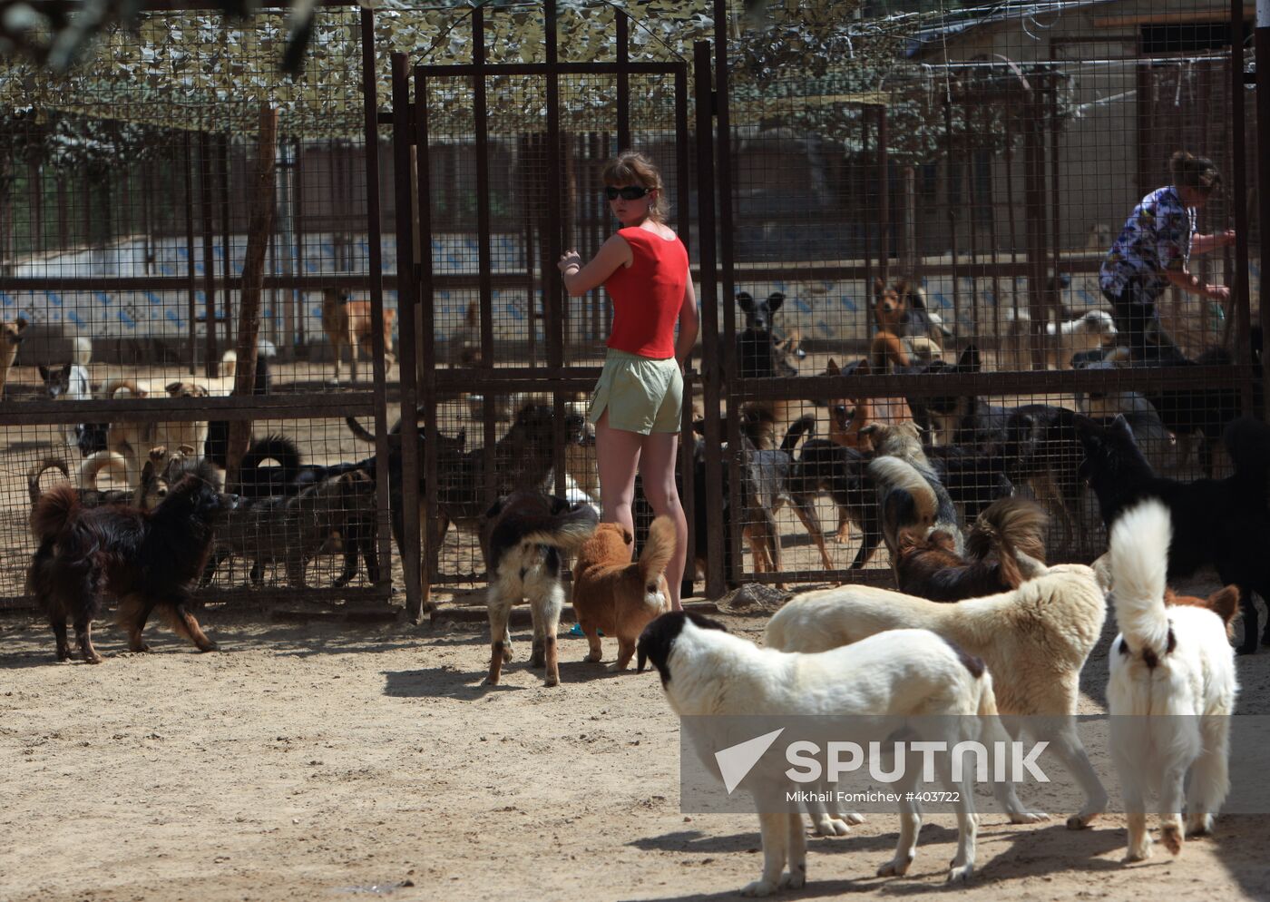 Bim animal shelter in Moscow Region