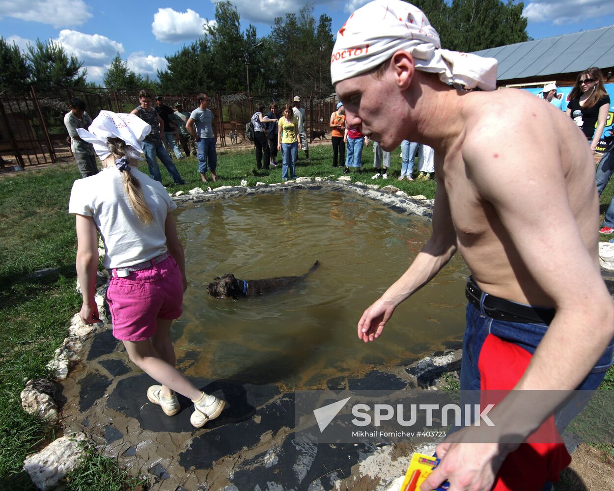 Bim private charity animal protection fund in Moscow Region