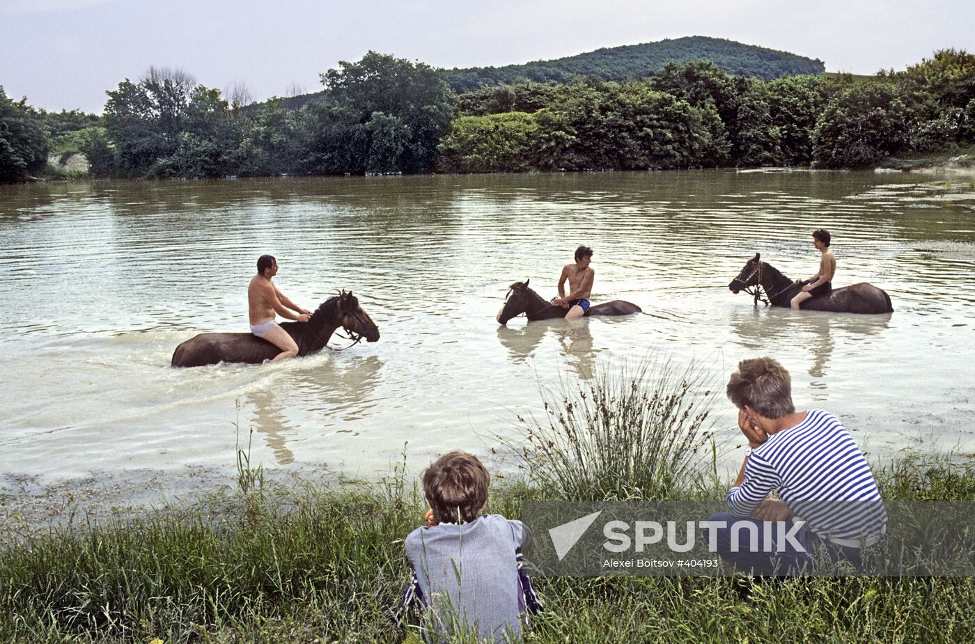 Horse bathing