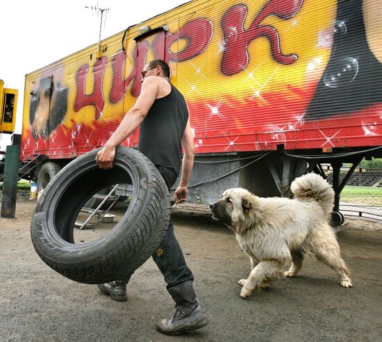 Behind the scenes of a travelling circus