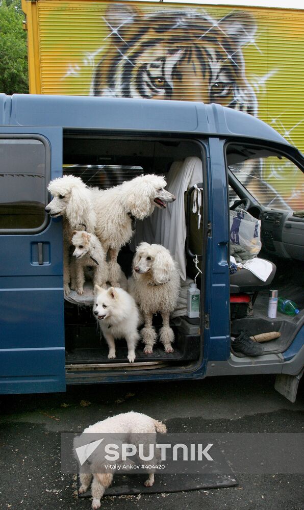 Behind the scenes of a travelling circus