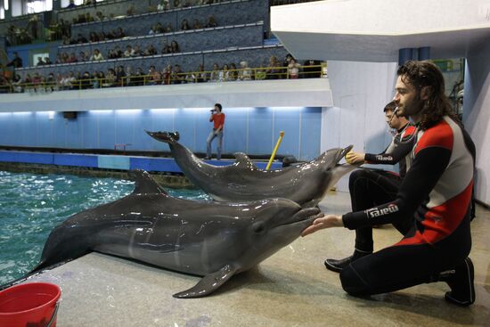 Moscow's Utrish Dolphinarium