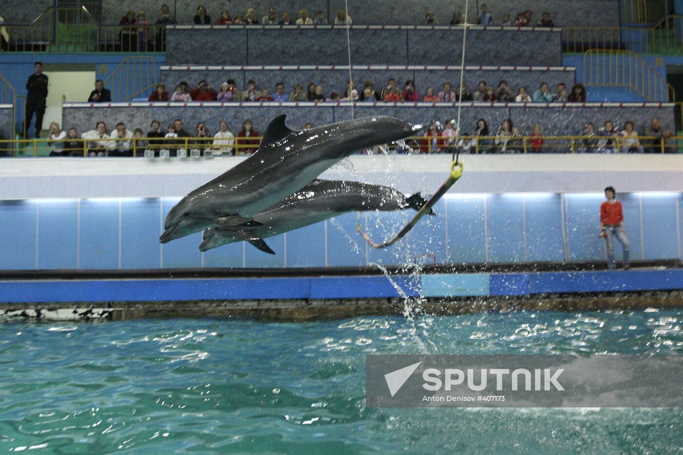Moscow's Utrish Dolphinarium