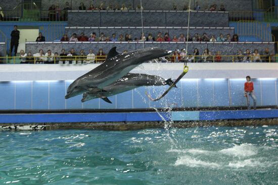Moscow's Utrish Dolphinarium