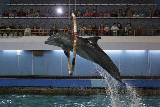 Moscow's Utrish Dolphinarium