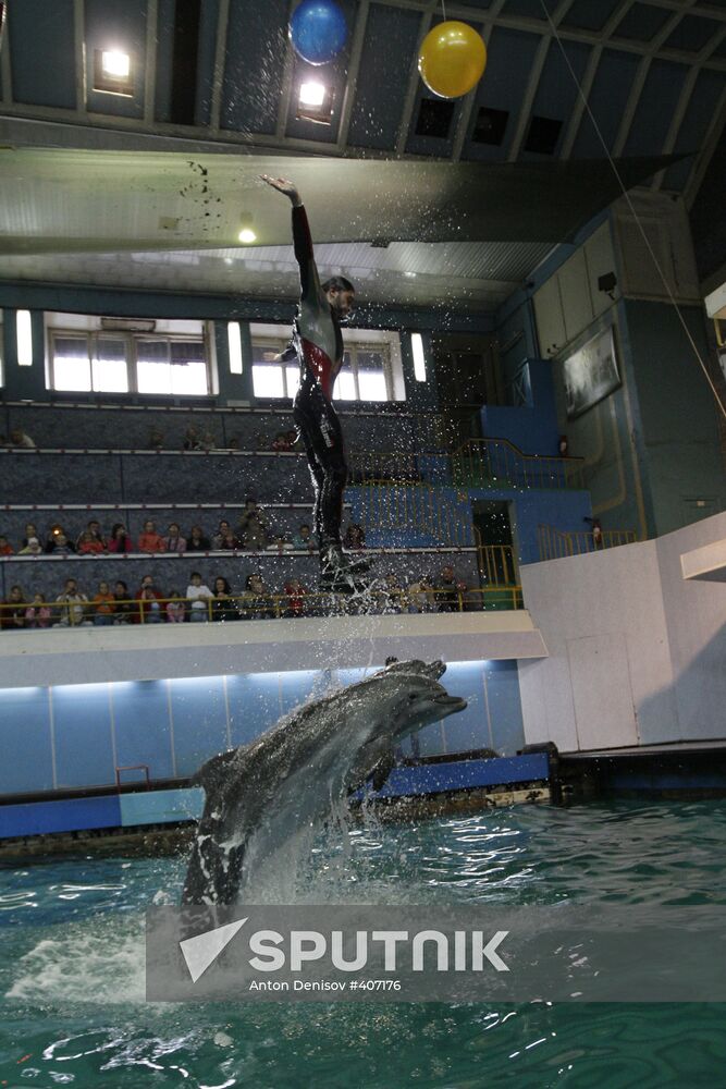 Moscow's Utrish Dolphinarium