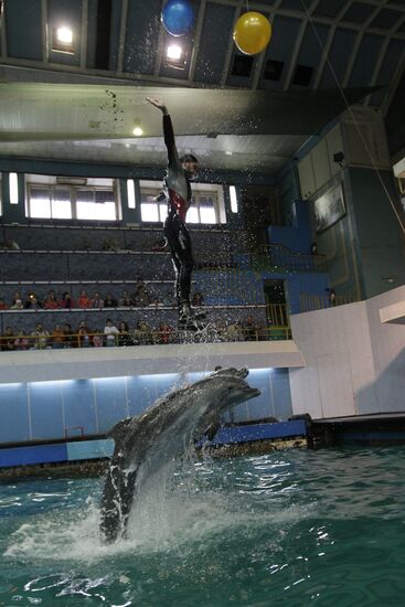 Moscow's Utrish Dolphinarium