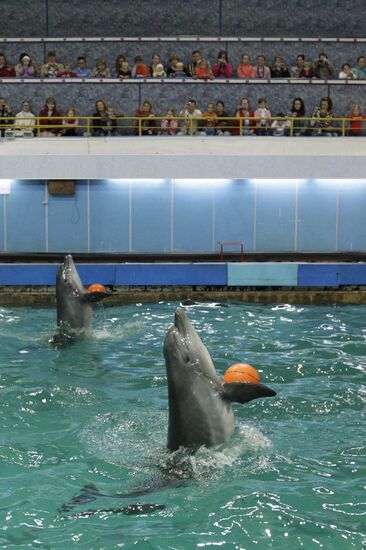 Moscow's Utrish Dolphinarium