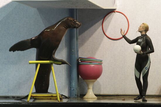 Moscow's Utrish Dolphinarium