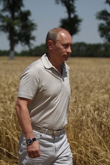 Vladimir Putin visits Southern Federal District