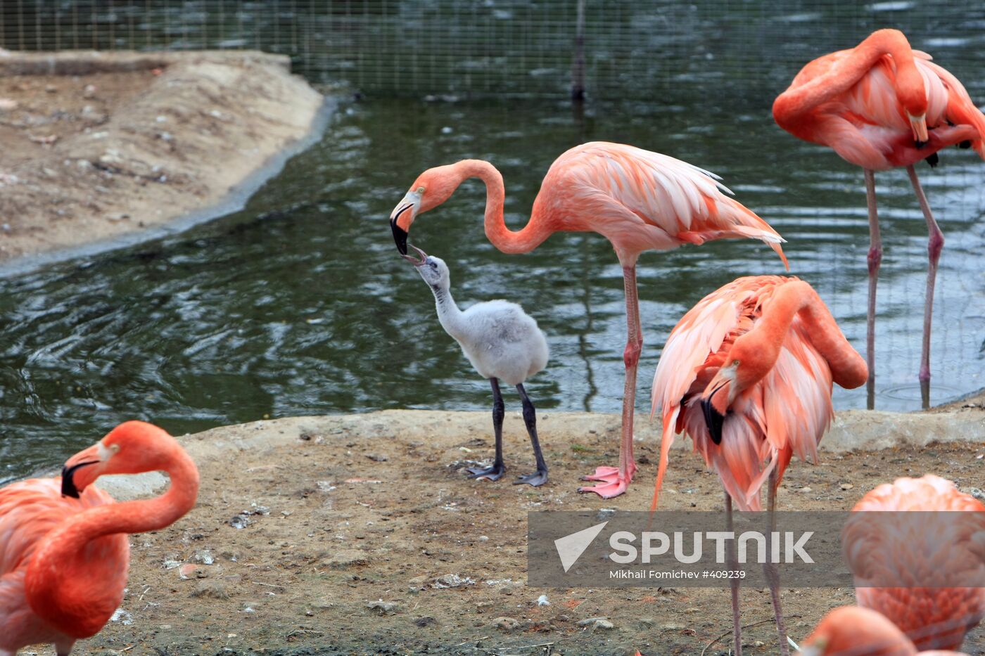 Moscow Zoo