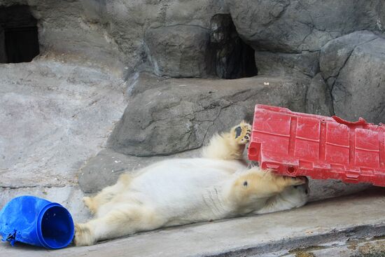 Moscow Zoo