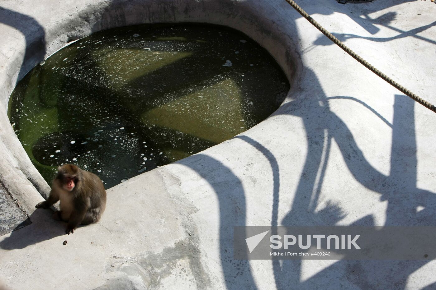 Moscow Zoo