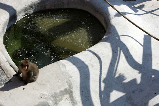 Moscow Zoo