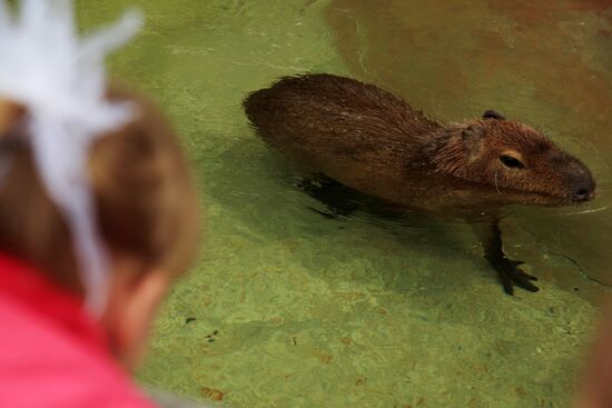 Moscow Zoo