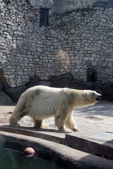 Moscow Zoo