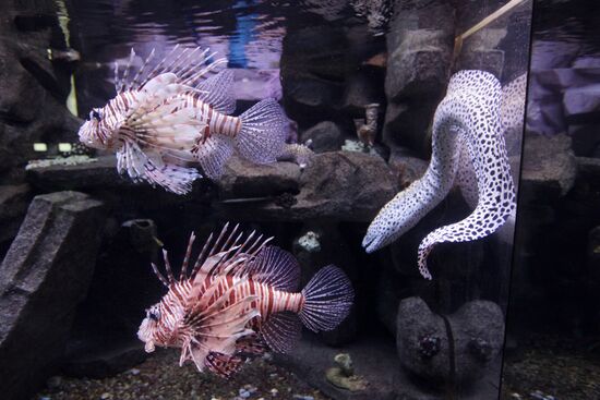 Moscow Zoo