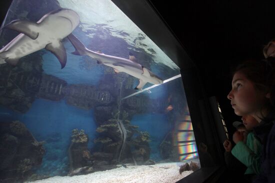 Moscow Zoo