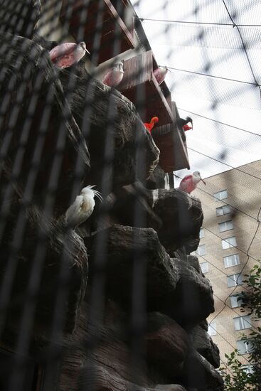 Moscow Zoo