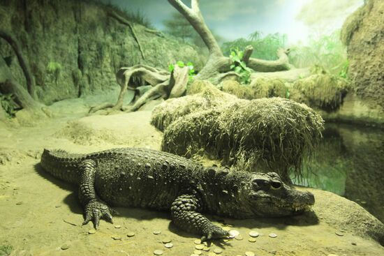 Moscow Zoo