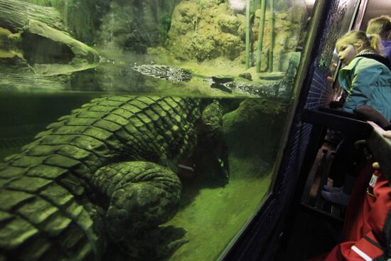 Moscow Zoo
