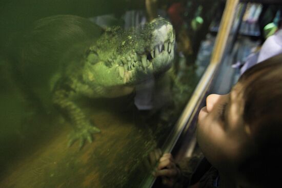 Moscow Zoo