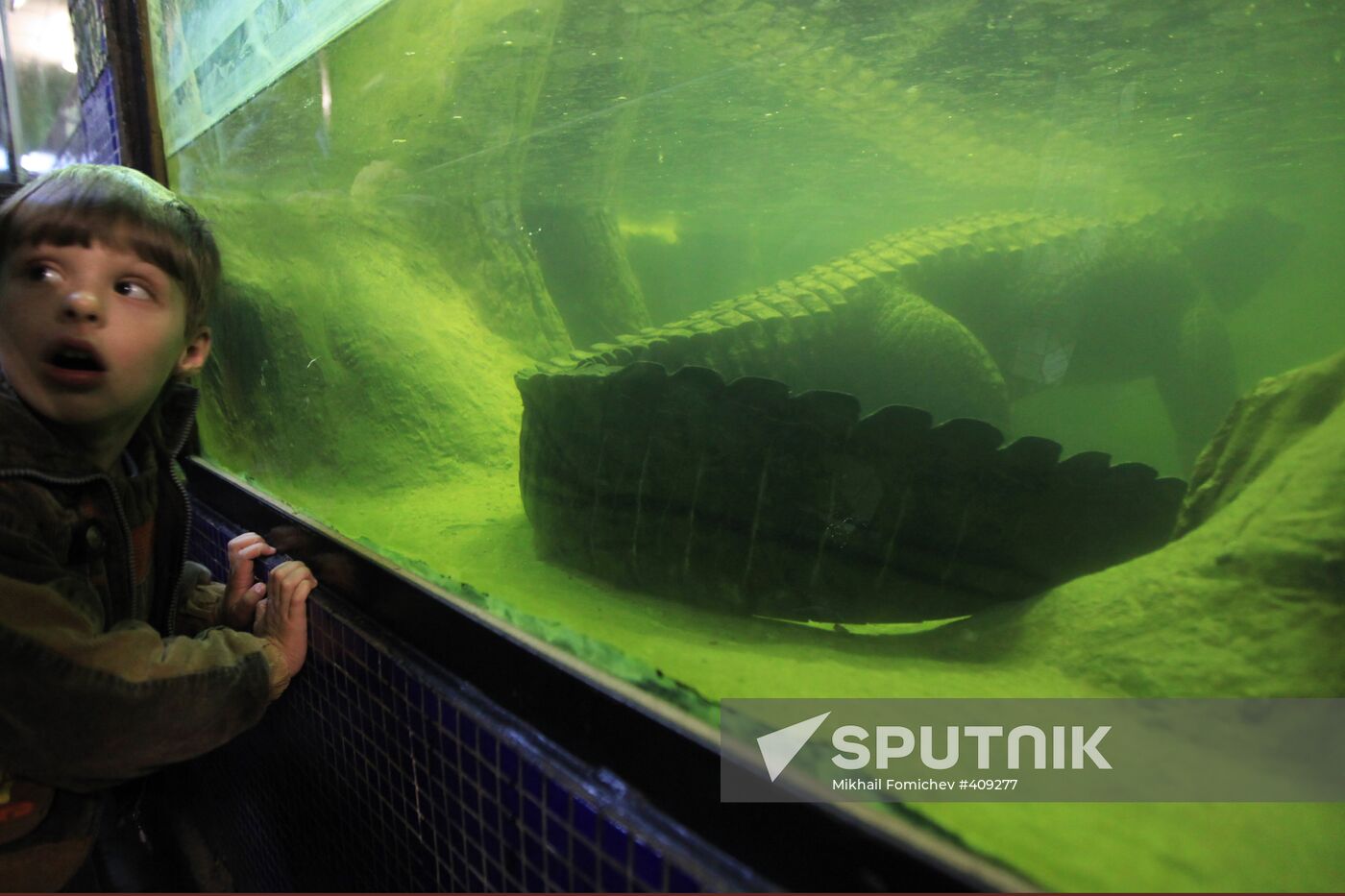 Moscow Zoo