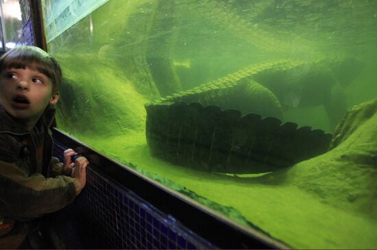Moscow Zoo