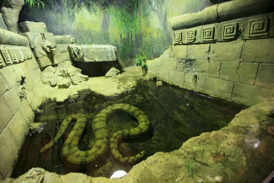 Moscow Zoo