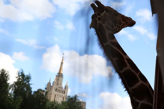 Moscow Zoo