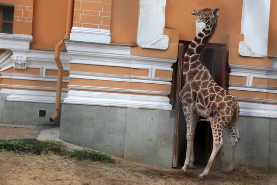 Moscow Zoo