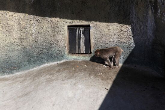 Moscow Zoo