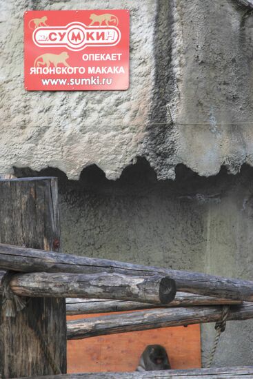 Moscow Zoo