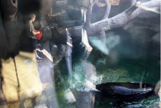 Moscow Zoo