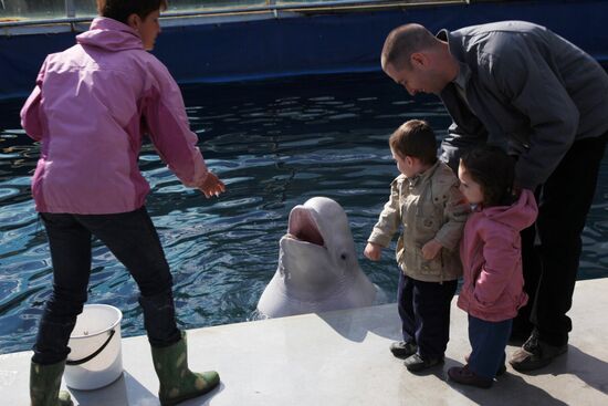 Moscow Zoo