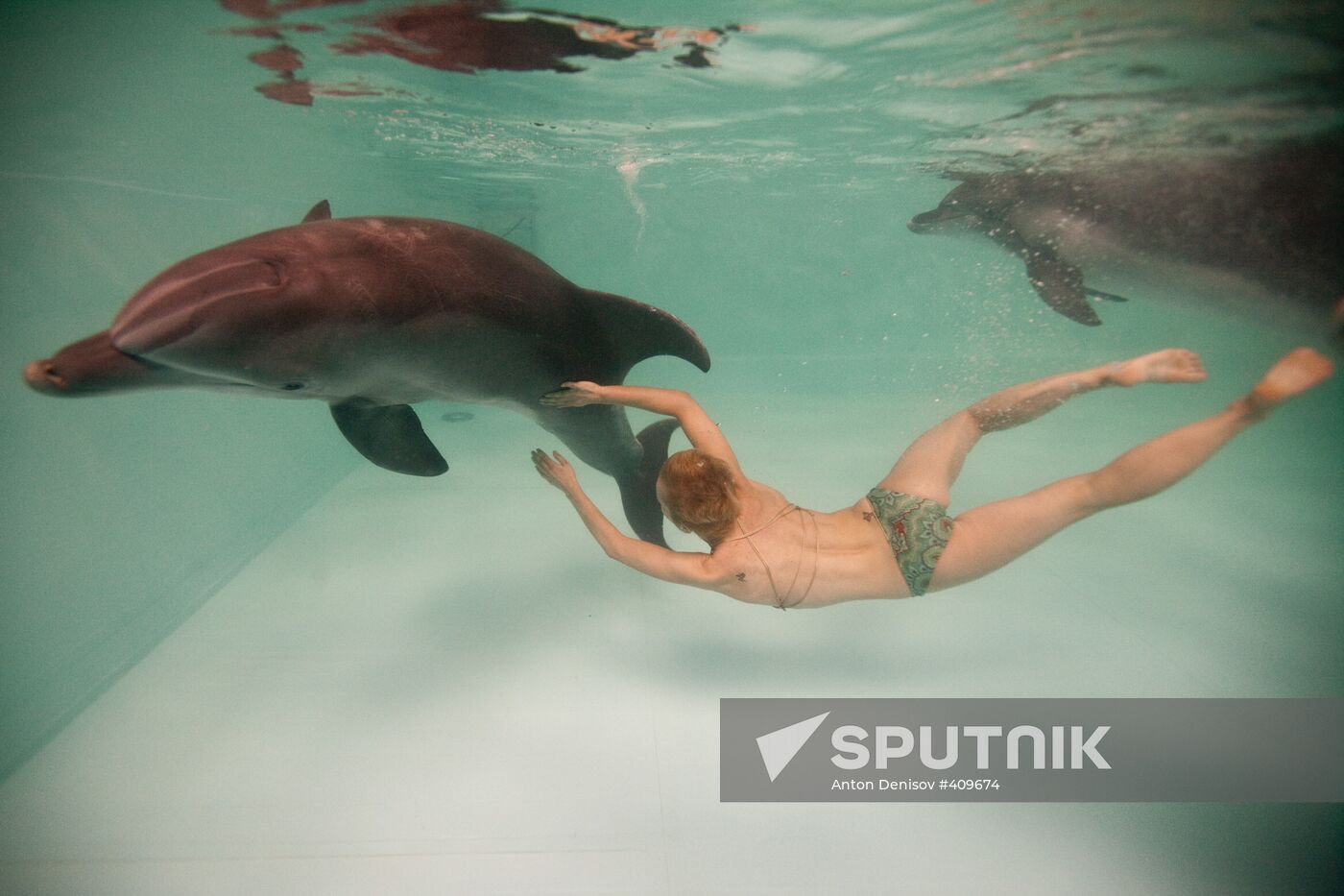 Moscow Dolphinarium